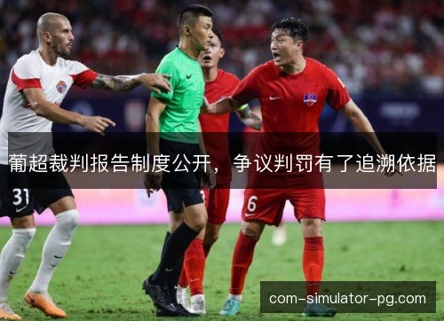 葡超裁判报告制度公开，争议判罚有了追溯依据